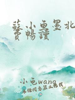 苏小鱼墨北枭免费畅读
