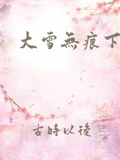 大雪无痕下载
