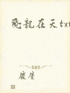 飞龙在天txt
