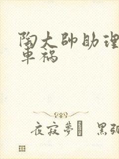 陶大帅助理子豪车祸