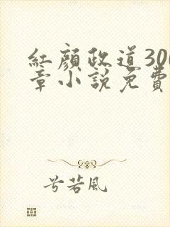 红颜政道300章小说免费阅读