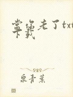 当你老了txt下载