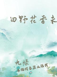 田野花香未删节