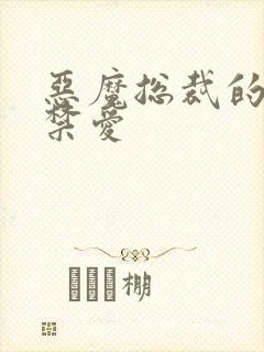 恶魔总裁的一夜禁爱