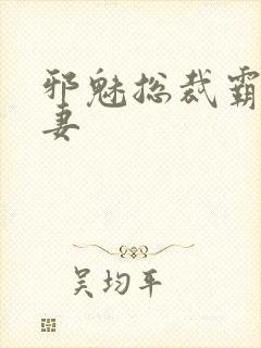 邪魅总裁霸占新妻