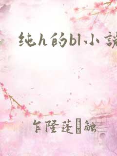 纯h的bl小说