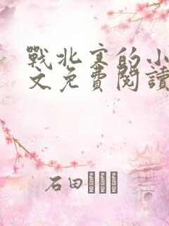 战北寒的小说全文免费阅读无弹窗