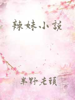 辣妹小说