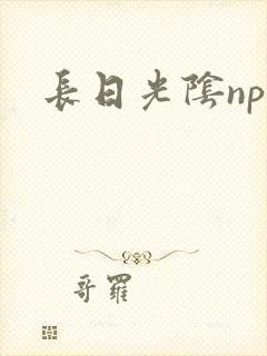 长日光阴np