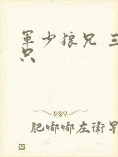 军少狼兄 三两只
