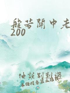 般若关中老人5200