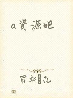 a资源吧