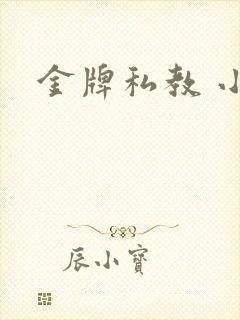 金牌私教 小说
