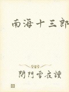南海十三郎小说