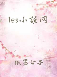 les小说网