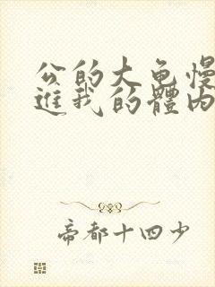 公的大龟慢慢挺进我的体内小说