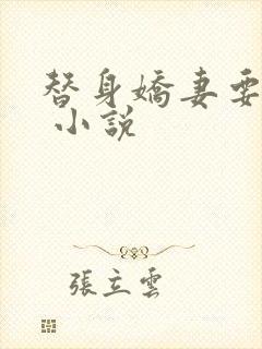 替身娇妻要离婚 小说