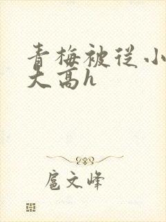 青梅被从小玩到大高h