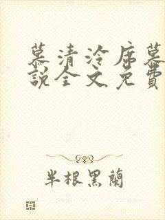 慕清泠席慕深小说全文免费阅读