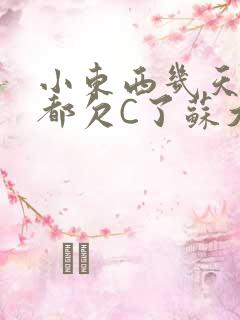 小东西几天没做都欠C了苏大深