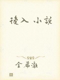 后入 小说