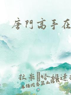 唐门高手在异界