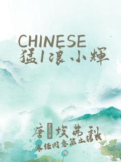 CHINESE猛1浪小辉
