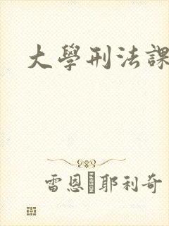 大学刑法课