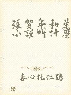 张贺年和叶繁姿小说叫什么名字