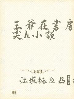 王爷在书房含乳尖h小说