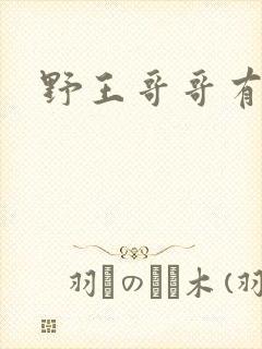 野王哥哥有点甜