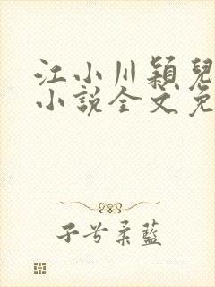 江小川颖儿穿越小说全文免费阅读