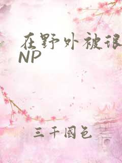 在野外被很多人NP