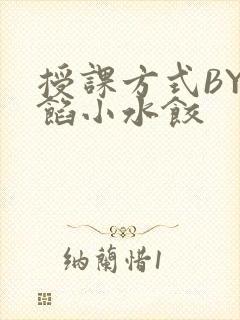 授课方式BY肉馅小水饺