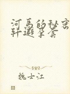 河马的秘密河文轩避孕套