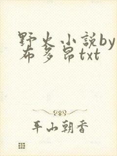 野火小说by夏布多昂txt