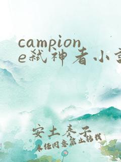 campione弑神者小说