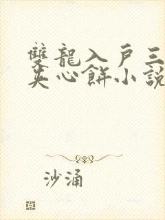 双龙入户三人行夹心饼小说