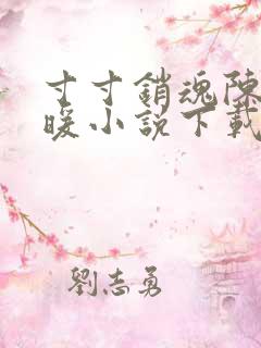 寸寸销魂陈聪王暖小说下载