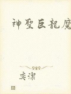 神圣巨龙魔法师