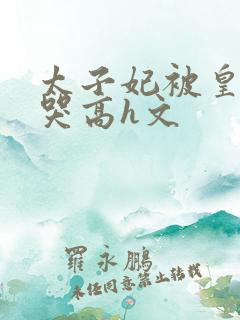 太子妃被皇上c哭高h文