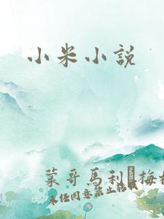 小米小说
