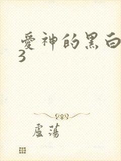 爱神的黑白羽翼3