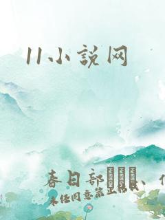 11小说网