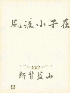 风流小子在异世