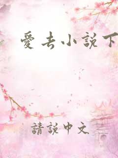 爱去小说下载网