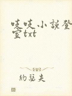 吱吱小说登堂入室txt