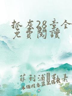 抓灰28章全部免费阅读