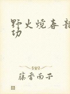 野火烧春 龙鸣功