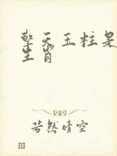 擎天玉柱是什么生肖